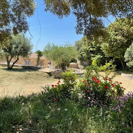 Lavezzi Avec Piscine * Bonifacio (Corsica)