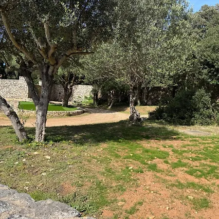 Villa Lavezzi Avec Piscine *